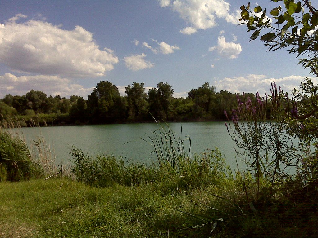 Foto di un fiume