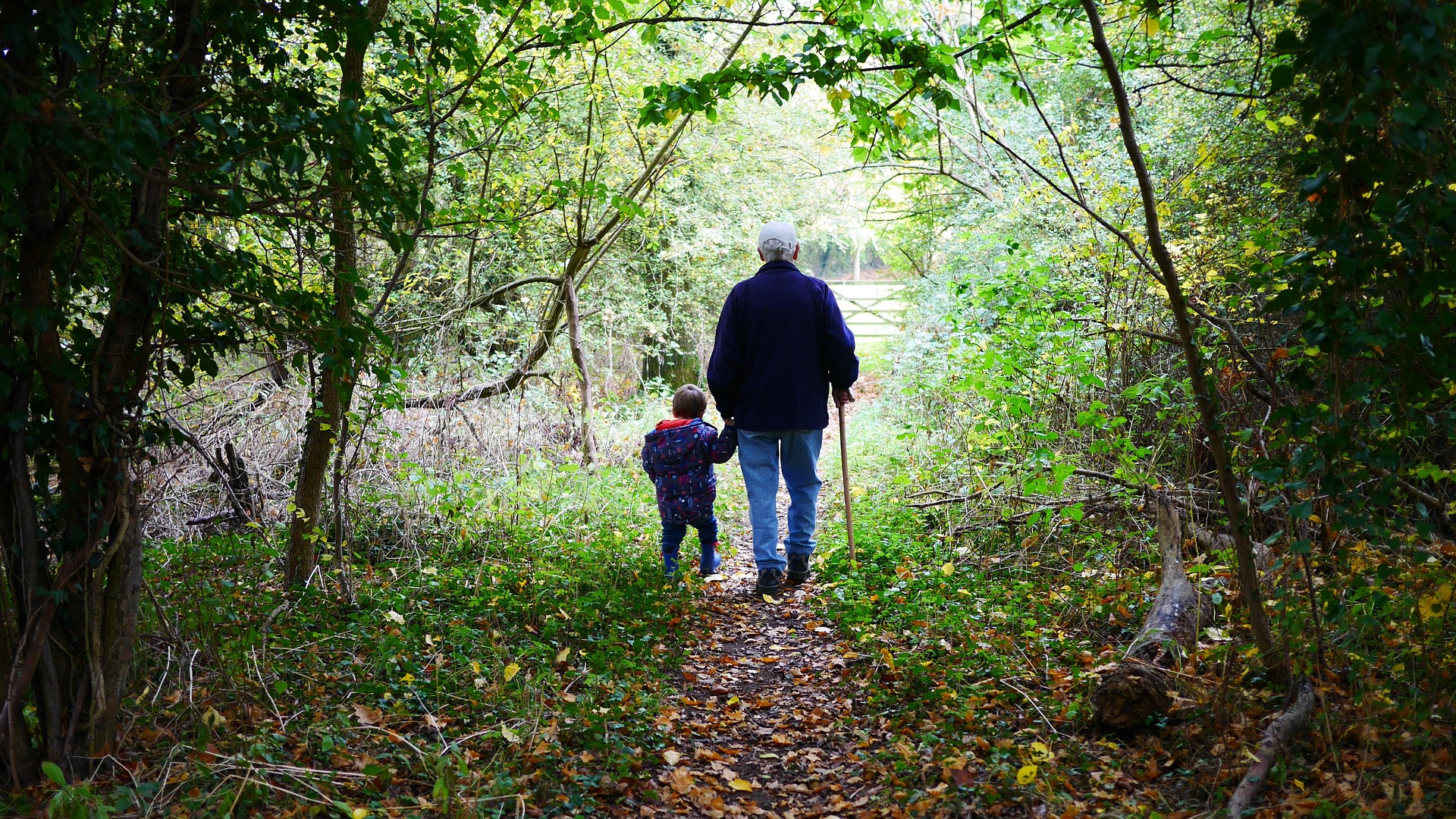 Un anziano e un bambino camminano in un bosco